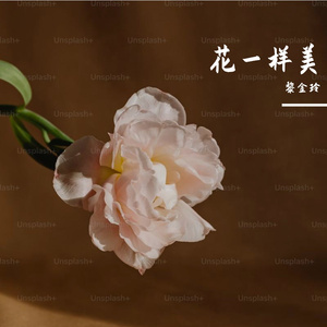 花一样美