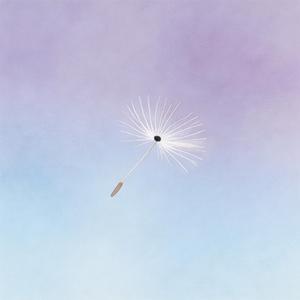 何其有幸（此生能够遇见你）