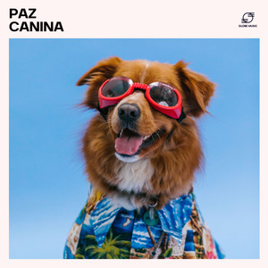 Música Relajante para Perros