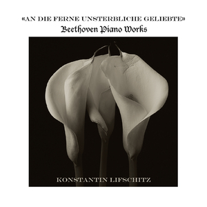 ディアベッリの主題による33の変奏曲 作品120 第13変奏