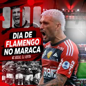 DIA DE FLAMENGO NO MARACA