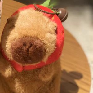 藏在你的名字里