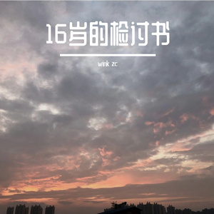 16岁的检讨书