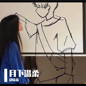 月下温柔 伴奏