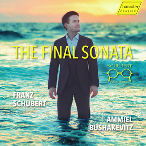 Piano Sonata No. 15 in B-Flat Major, D. 960: II. Andante sostenuto