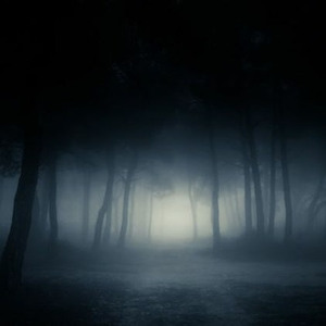 Foggy night