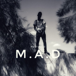 M.A.D