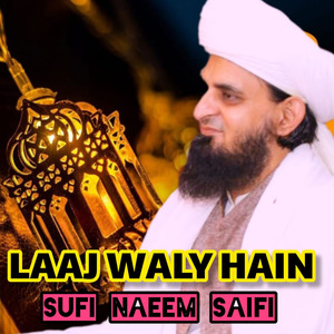 Kash Wo Chehra Meri Ankh Nay Dekha Hota