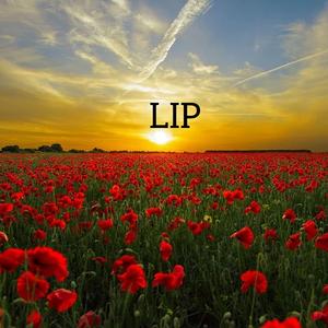 Lip