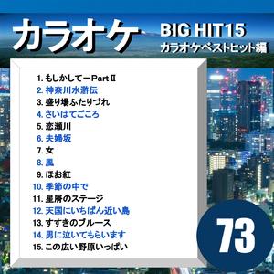 神奈川水滸伝（カラオケ）