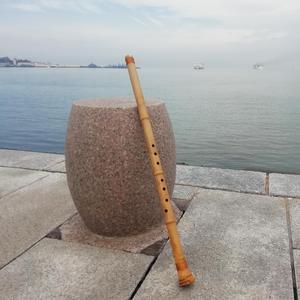 骏马奔驰保边疆（洞箫版）