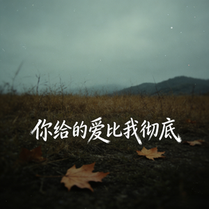 你给的爱比我彻底