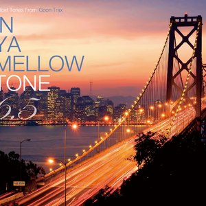 Myself In You -Michitaro from Cradle Orchestra remix-