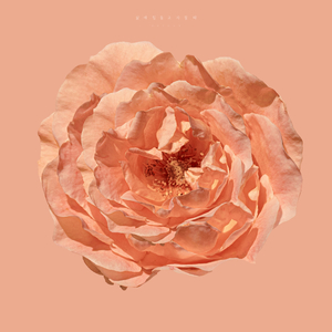 삶에 힘들고 지칠 때