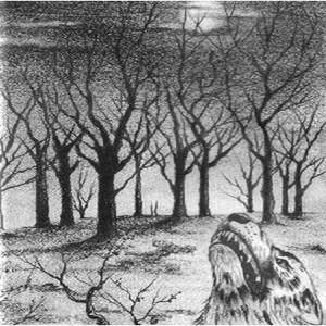 Depressive Landscapes