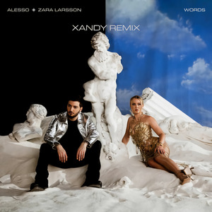 Words (Feat. Zara Larsson) [Xandy Remix]