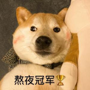 熬 夜 冠 军
