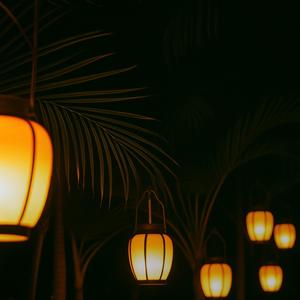 Luces