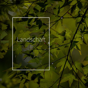 そこにあるもの