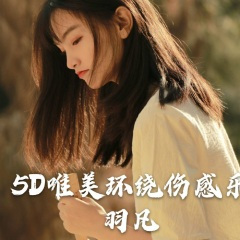 8D极品环绕纯电音