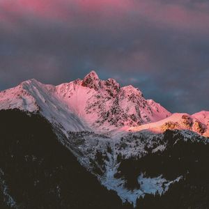 你来到我生命之后