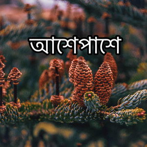 আশেপাশে