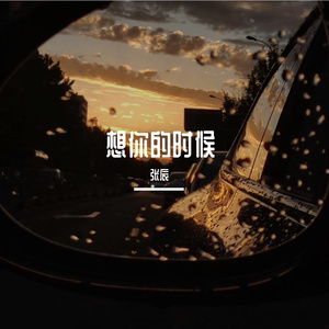 想你的时候