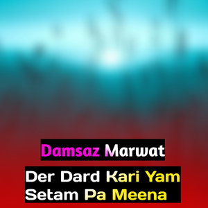 Der Dard Kari Yam Setam Pa Meena