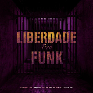 Liberdade pro Funk