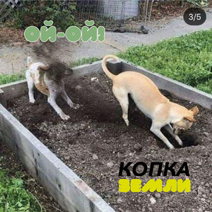 Ой-ой