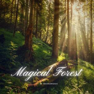 Magical Forest