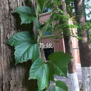 下辈子不做女人