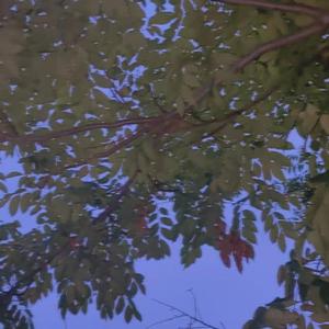 The Song Vol.5(prod.by Morrow)