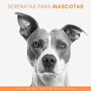 Serenata De Café De Mascotas Animadas