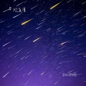 新欢渡旧爱 (Cover 黄静美)