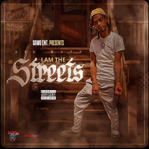 Wayz Flow (feat. Badwayz)