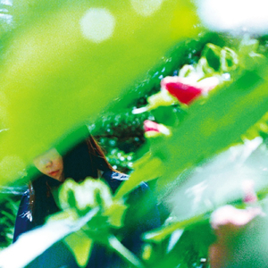 ペーパームーン