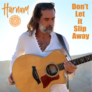 Don't Let it Slip Away (single)