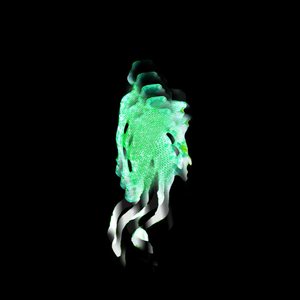 세상은 이 지경 (prod. xmichaelwarren)