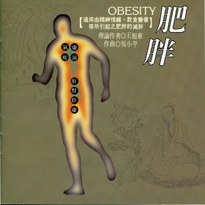 第一段.气虚痰湿型(脂肪积聚)适用