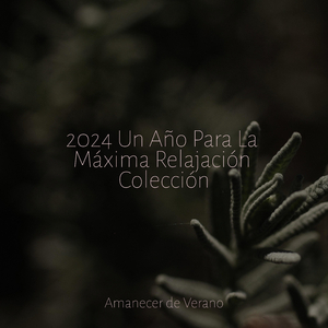 Florecientes Alas de Liberación