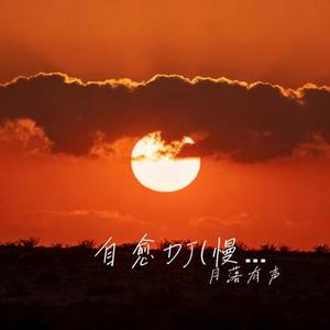 自愈DJ (月落有声 Remix)