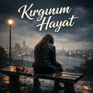 Kırgınım Hayat