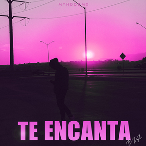 Te Encanta