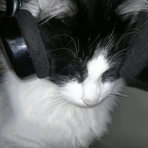 平淡日子里的刺