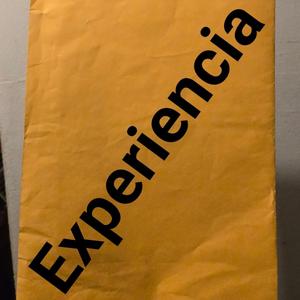 Experiencia