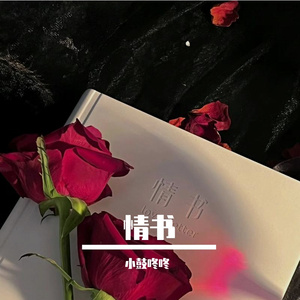 情书