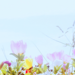 再给我一点时间