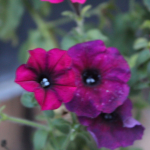 space, love, and other stuff