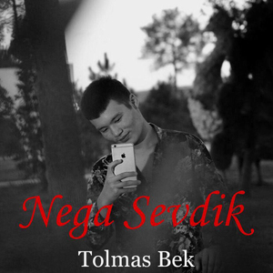 Nega Sevdik